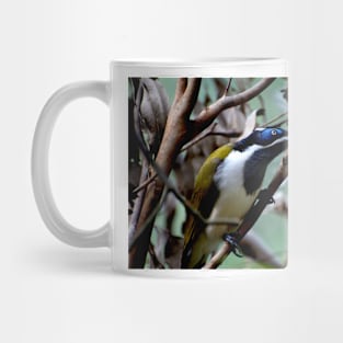 Blue Faced Honey Eater Mug